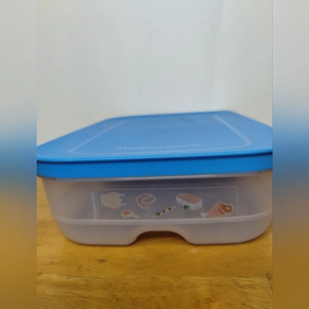 New Blue Tupperware Surf N Turf Meat keeper